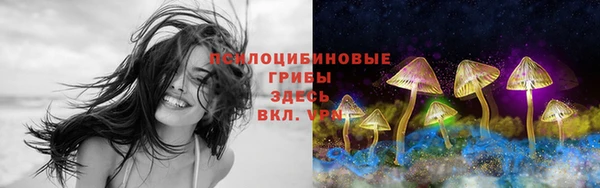 стаф Богородицк