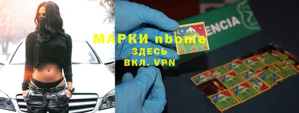 стаф Богородицк
