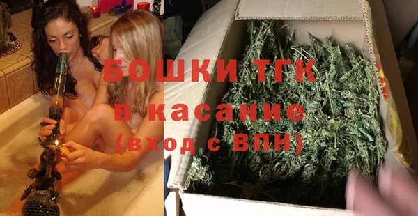 стаф Богородицк