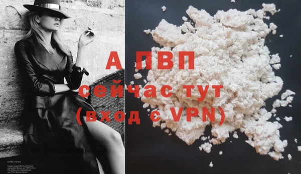 стаф Богородицк