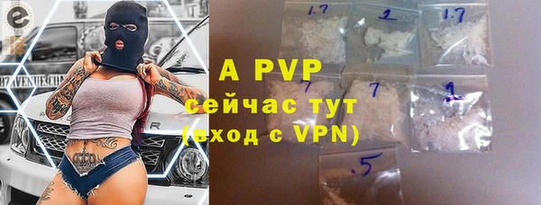 стаф Богородицк